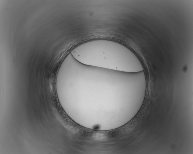 X0000116260114200911301002