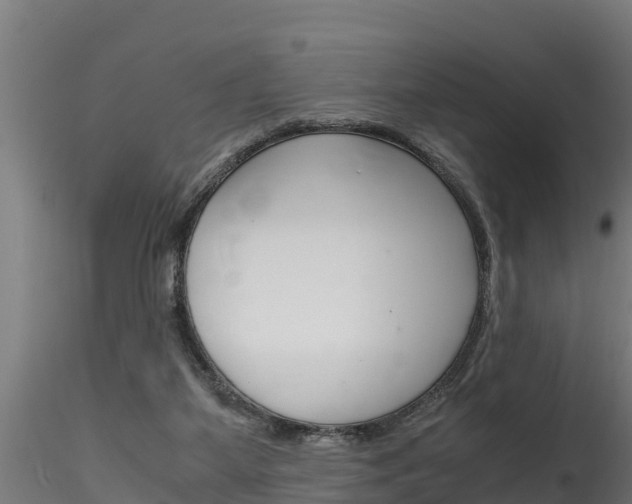 X0000116260115200911301002
