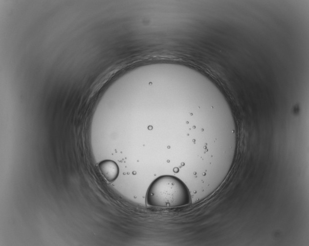 X0000116260116200911301002