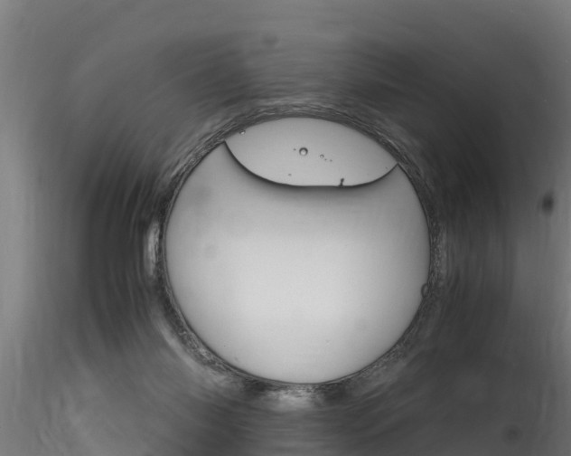 X0000116260118200911301002