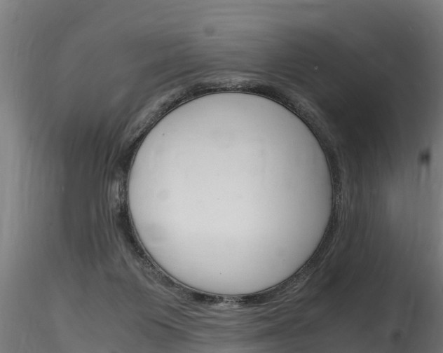 X0000116260119200911301002