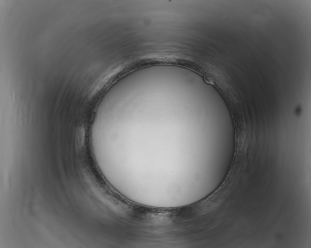 X0000116260120200911301002