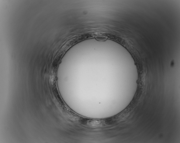 X0000116260129200911301002