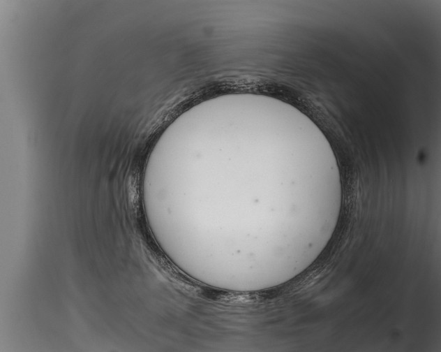 X0000116260131200911301002