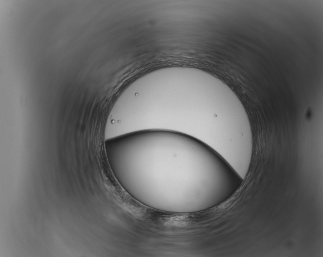 X0000116260132200911301002