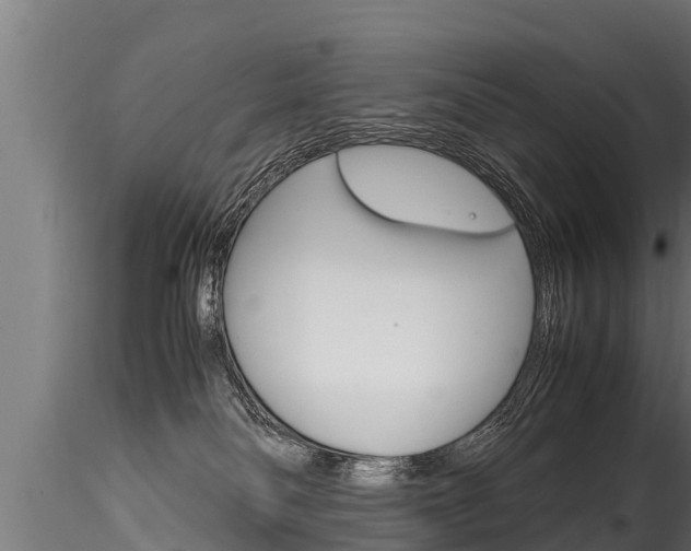 X0000116260134200911301002