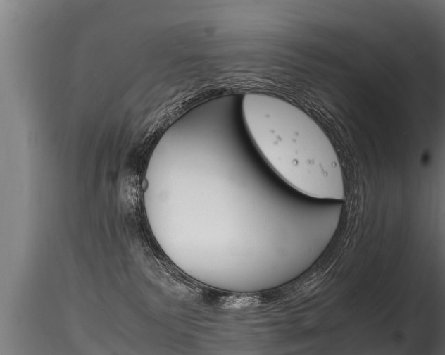 X0000116260135200911301002