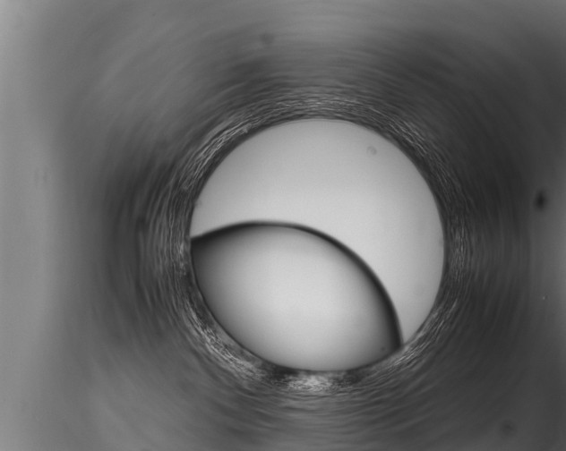 X0000116260140200911301001
