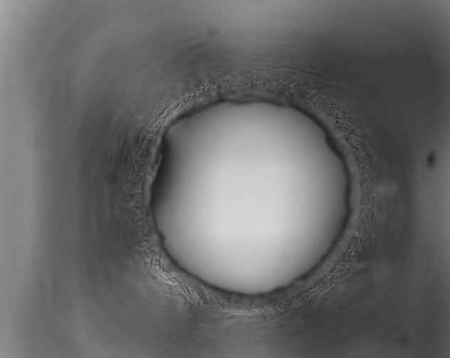 X0000116260144200911301001