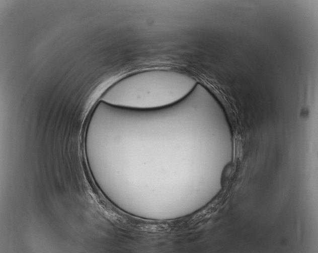 X0000116260147200911301001