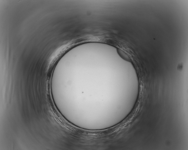 X0000116260149200911301001