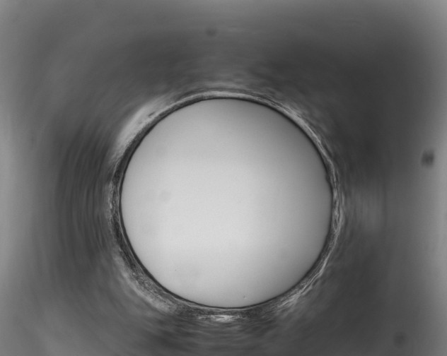 X0000116260151200911301001