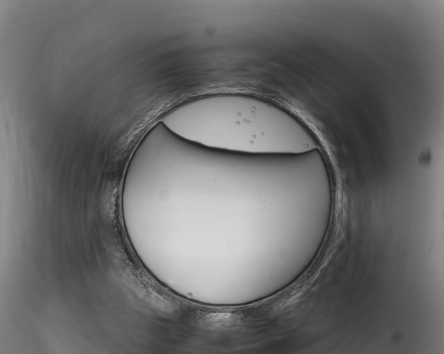 X0000116260153200911301001