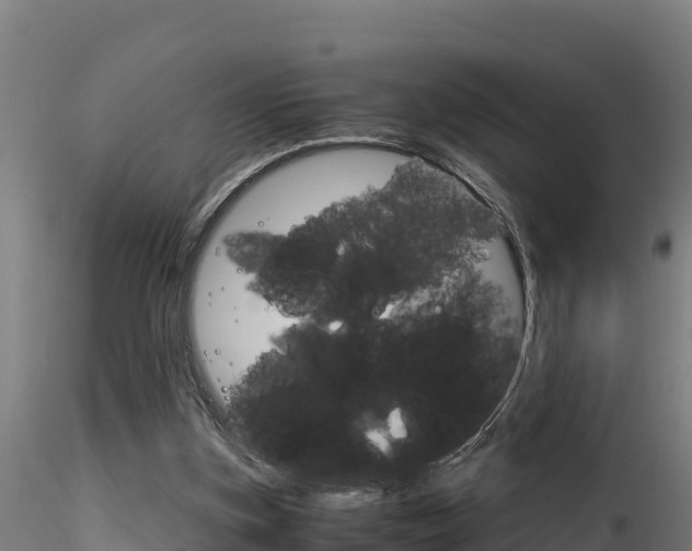 X0000116260155200911301001