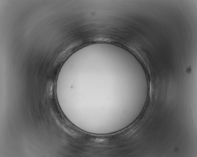 X0000116260157200911301001