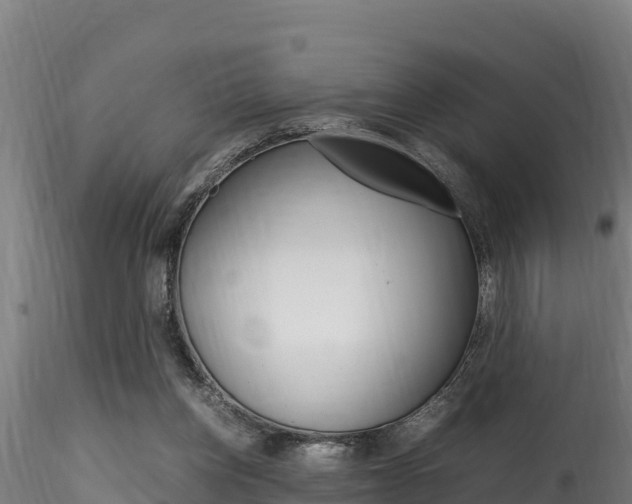 X0000116260158200911301001