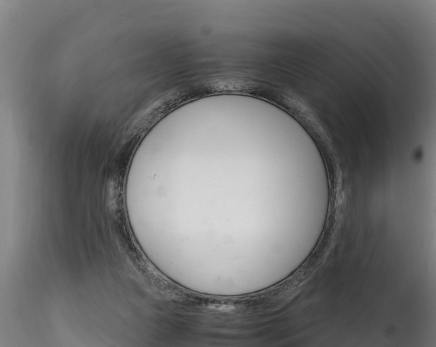X0000116260161200911301001