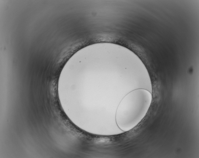 X0000116260162200911301001