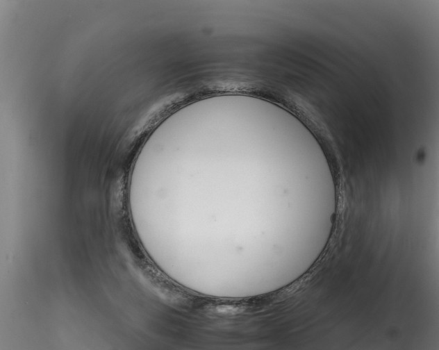 X0000116260163200911301001