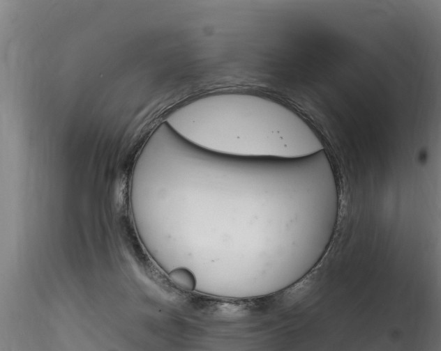 X0000116260166200911301001