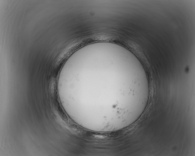 X0000116260167200911301001