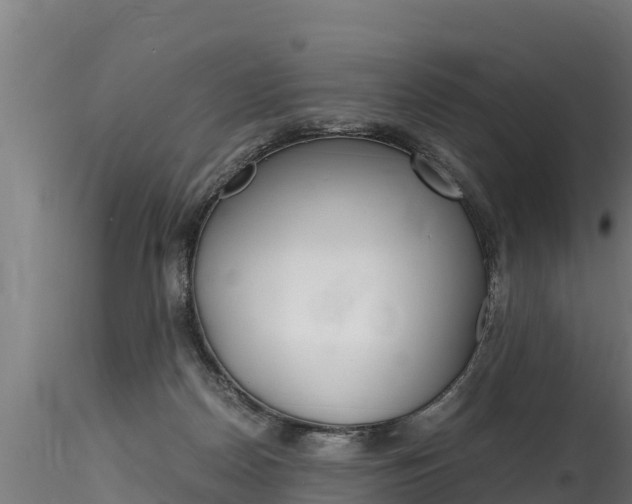 X0000116260170200911301001