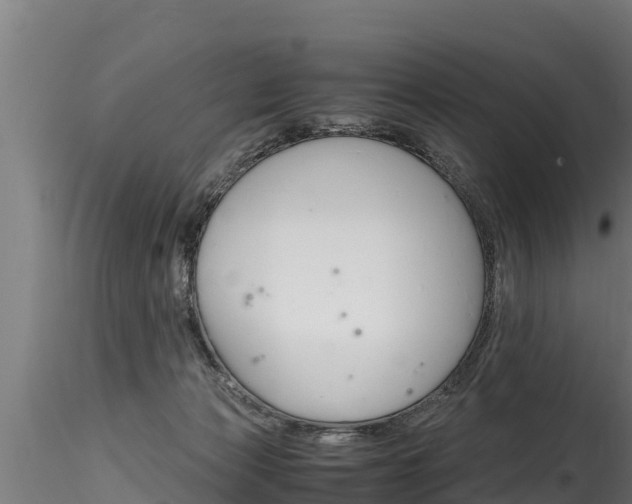 X0000116260173200911301001