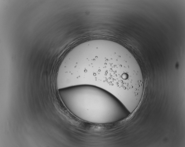 X0000116260174200911301001