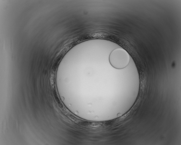 X0000116260175200911301001