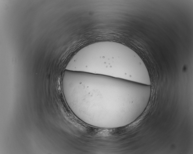 X0000116260182200911301001