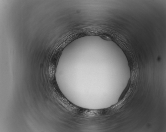 X0000116260186200911301001