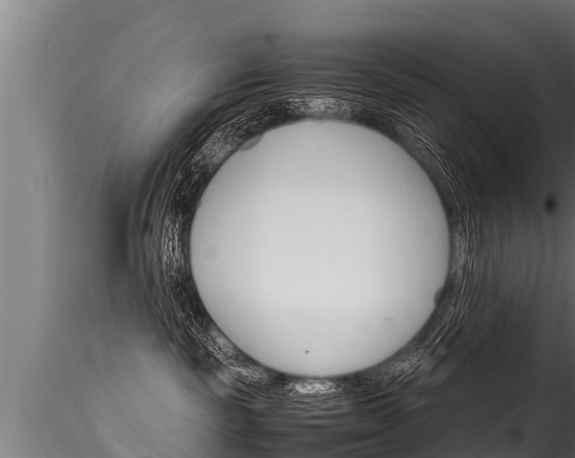X0000116260189200911301001