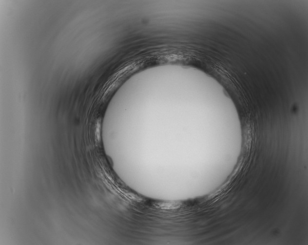 X0000116260191200911301001