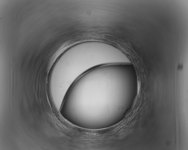 X0000116260195200911301001