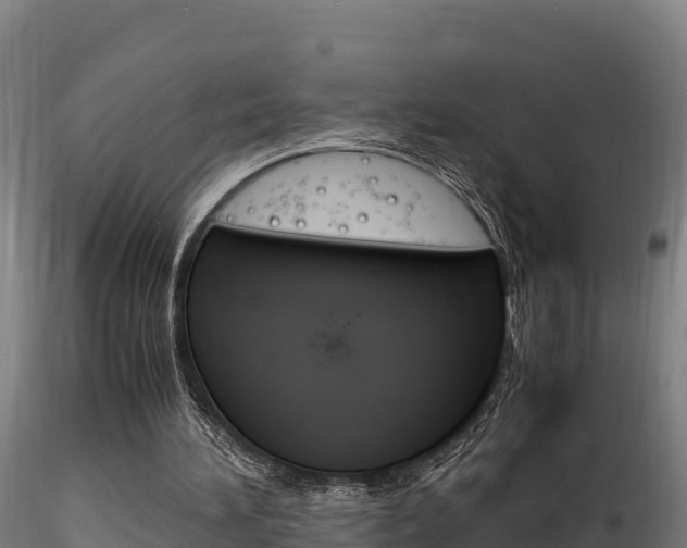 X0000116260196200911301001