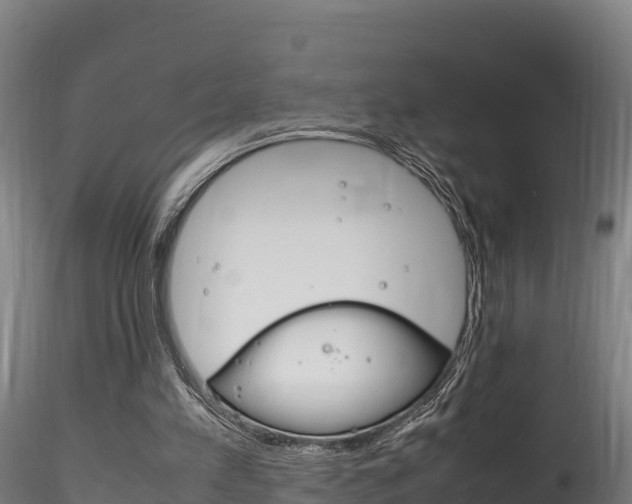 X0000116260197200911301001