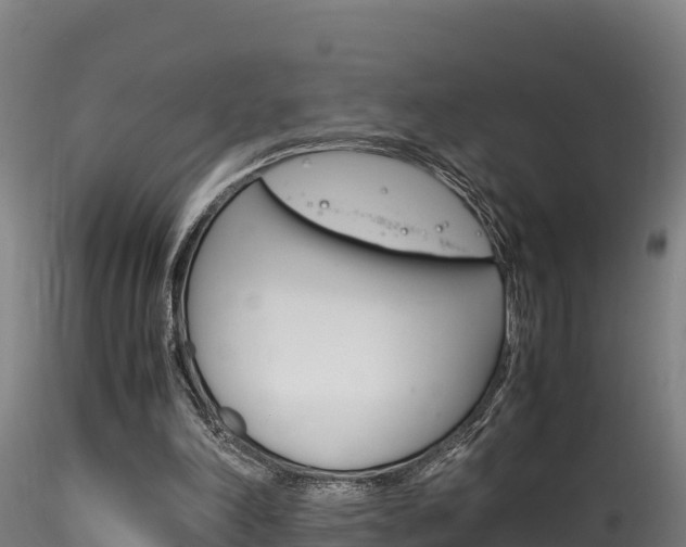 X0000116260198200911301001