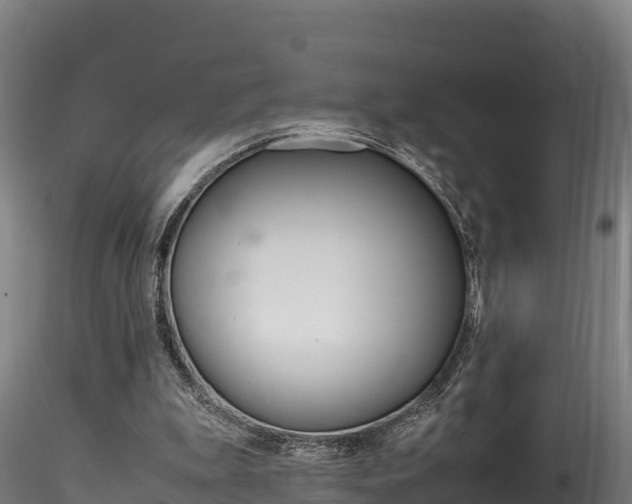 X0000116260199200911301001