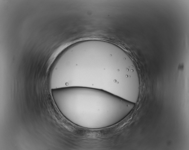 X0000116260200200911301001