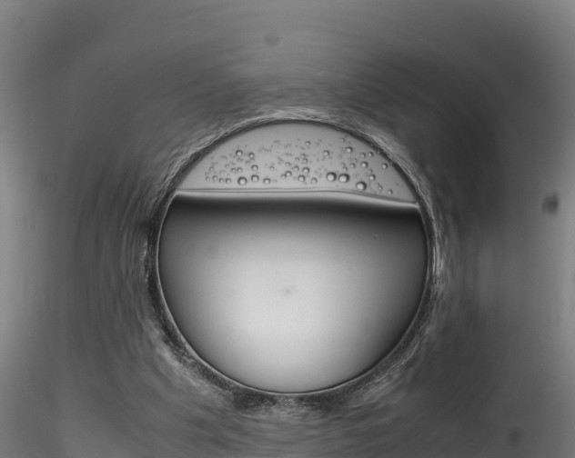 X0000116260201200911301001