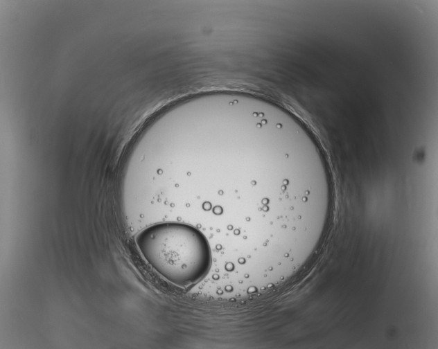 X0000116260203200911301001