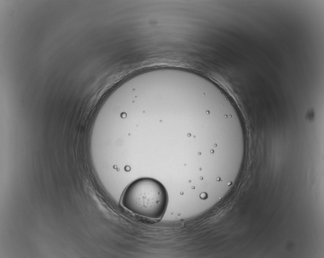 X0000116260205200911301001