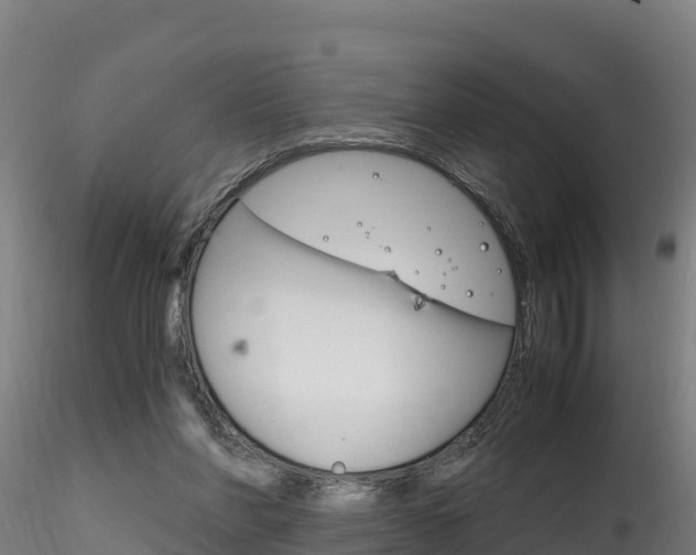 X0000116260206200911301001