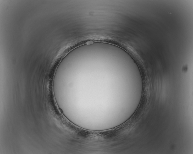 X0000116260207200911301001