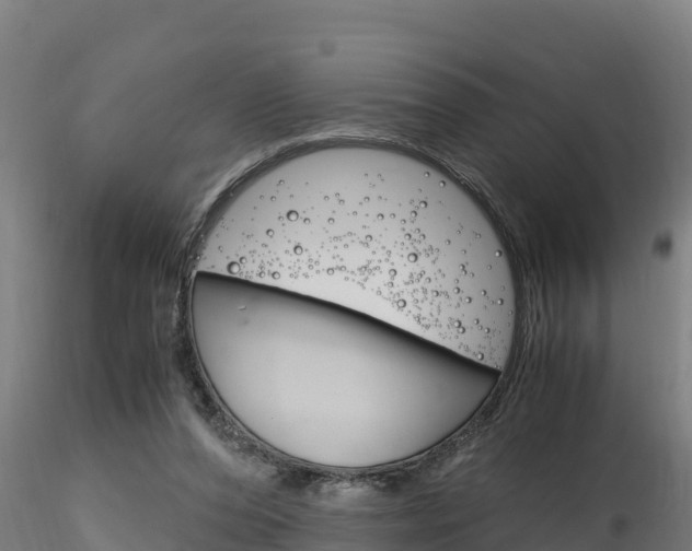 X0000116260208200911301001