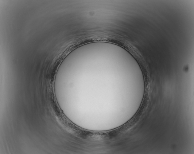 X0000116260209200911301001