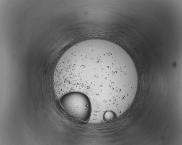 X0000116260211200911301000
