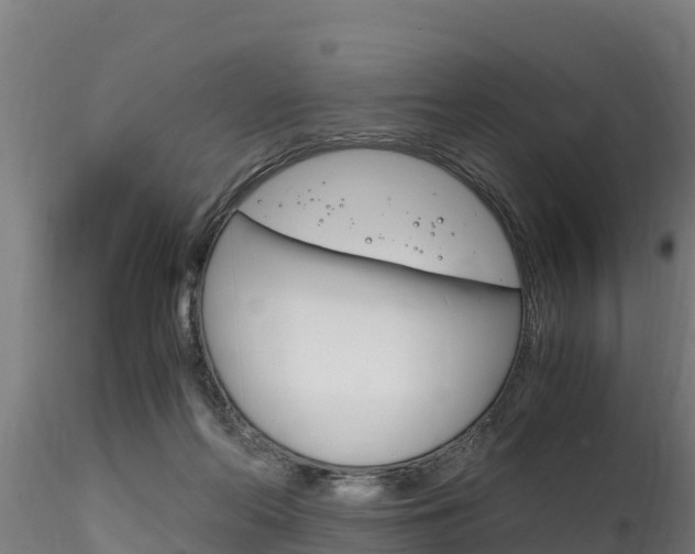 X0000116260214200911301000