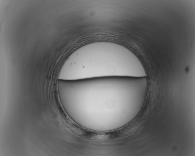 X0000116260217200911301000
