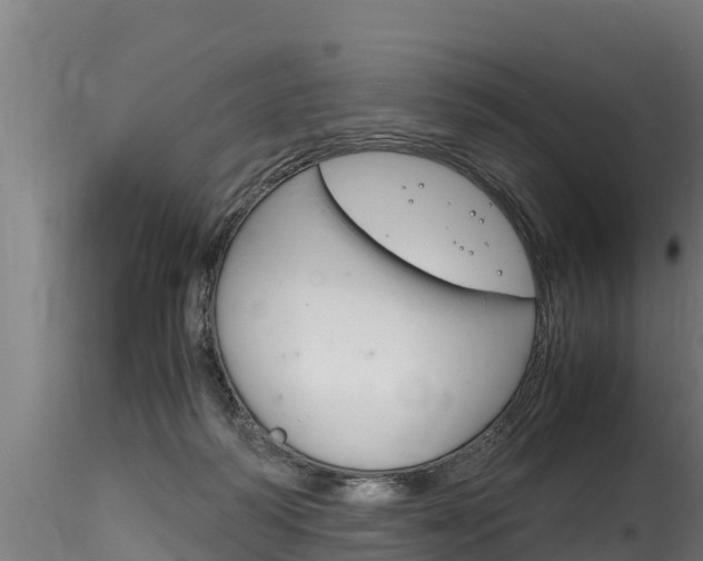 X0000116260218200911301000